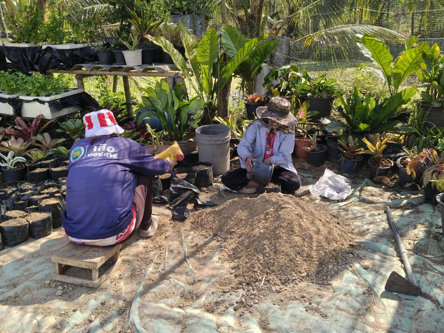 title - ผู้ตรวจราชการ ส.ป.ก. ประชุมตรวจติดตามความก้าวหน้าผลการดำเนินงานตามแผนการตรวจราชการ ประจำปีงบประมาณ พ.ศ. 2569 รอบที่ 1 เขตตรวจราชการที่ 8 จังหวัดฉะเชิงเทรา 